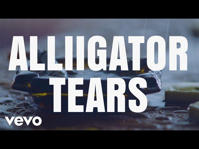 ALLIIGATOR TEARS Beyonce